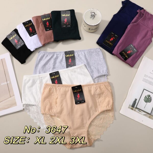 MAJTKI DAMSKIE (XL-3XL/24szt) kod: 3647