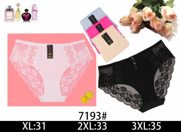 MAJTKI DAMSKIE (L-3XL/24szt)