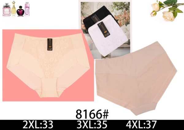 MAJTKI DAMSKIE (2XL-4XL/24szt)